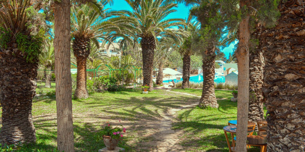 Hotel Mediterranee Thalasso & Golf 3*  Hammamet 