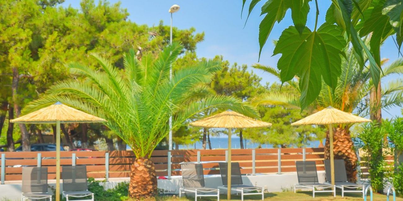 Hotel Princess Calypso (Adults Only) 3*  Thassos 