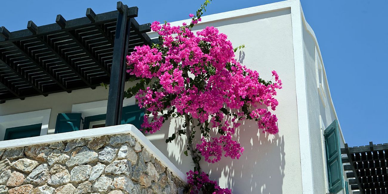 Hotel Rose Bay 4* Santorini 