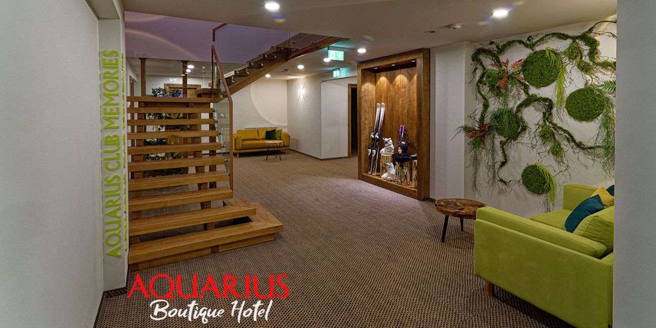 Aquarius Boutique Hotel  Bucovina 