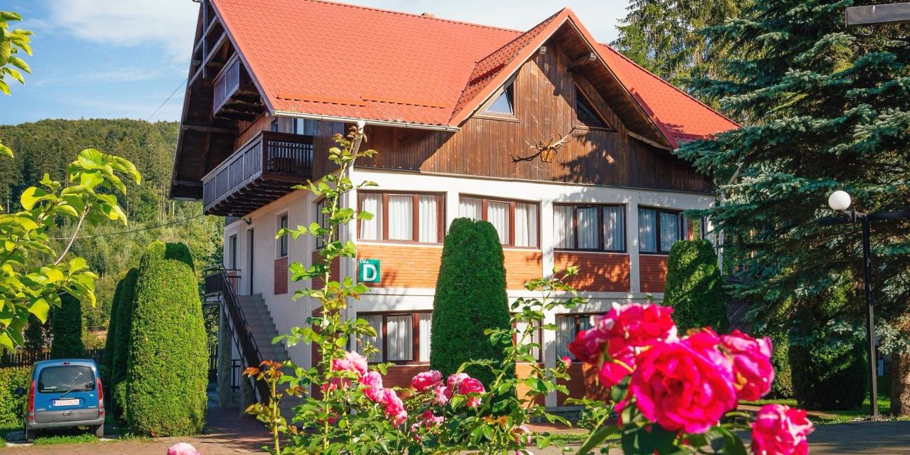 Casa Elena Resort & Spa 4* Bucovina 