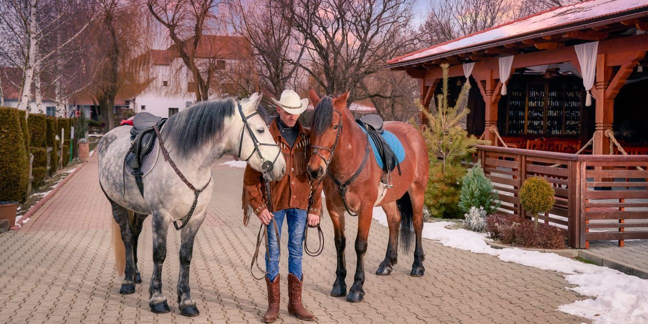 Domeniul Dracula Danes 3* Sighisoara 