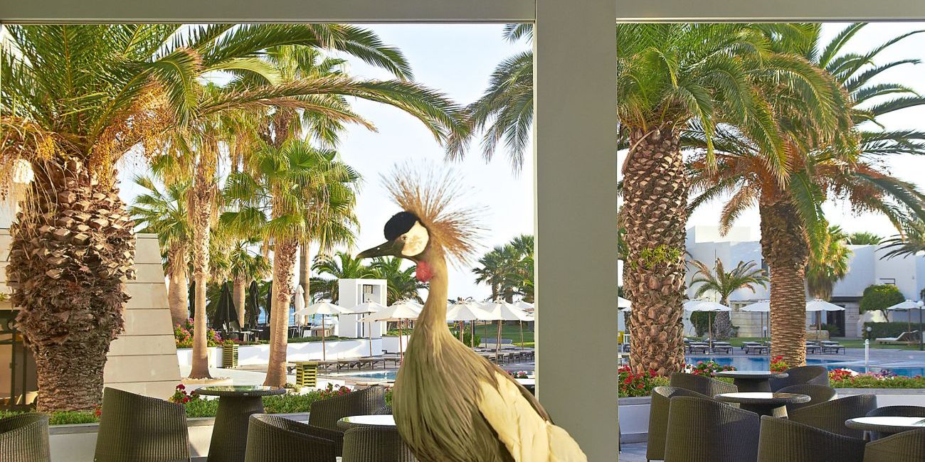 Grecotel Creta Palace 5* Creta - Chania 