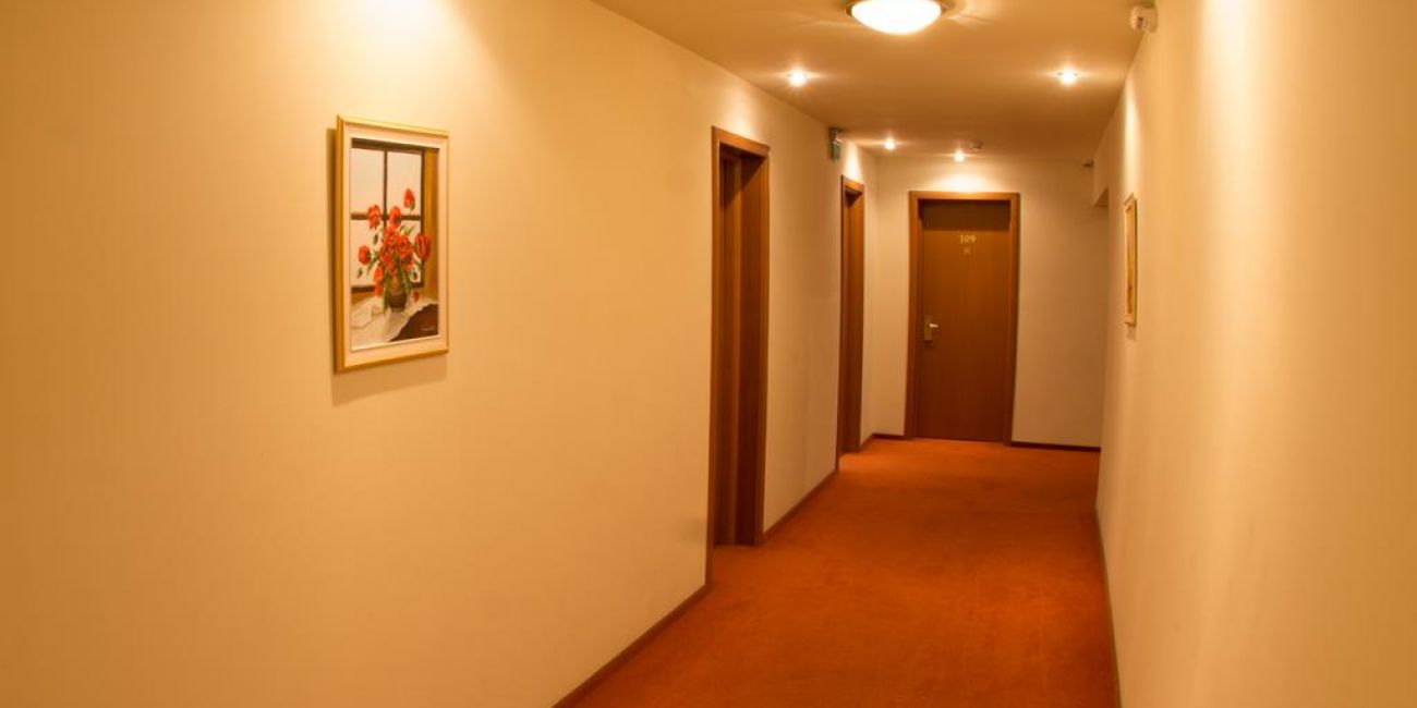 Hotel Alinalex 3* Brasov 