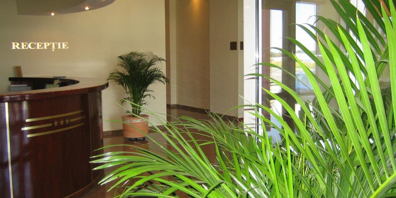 Hotel Alinalex 3* Brasov 