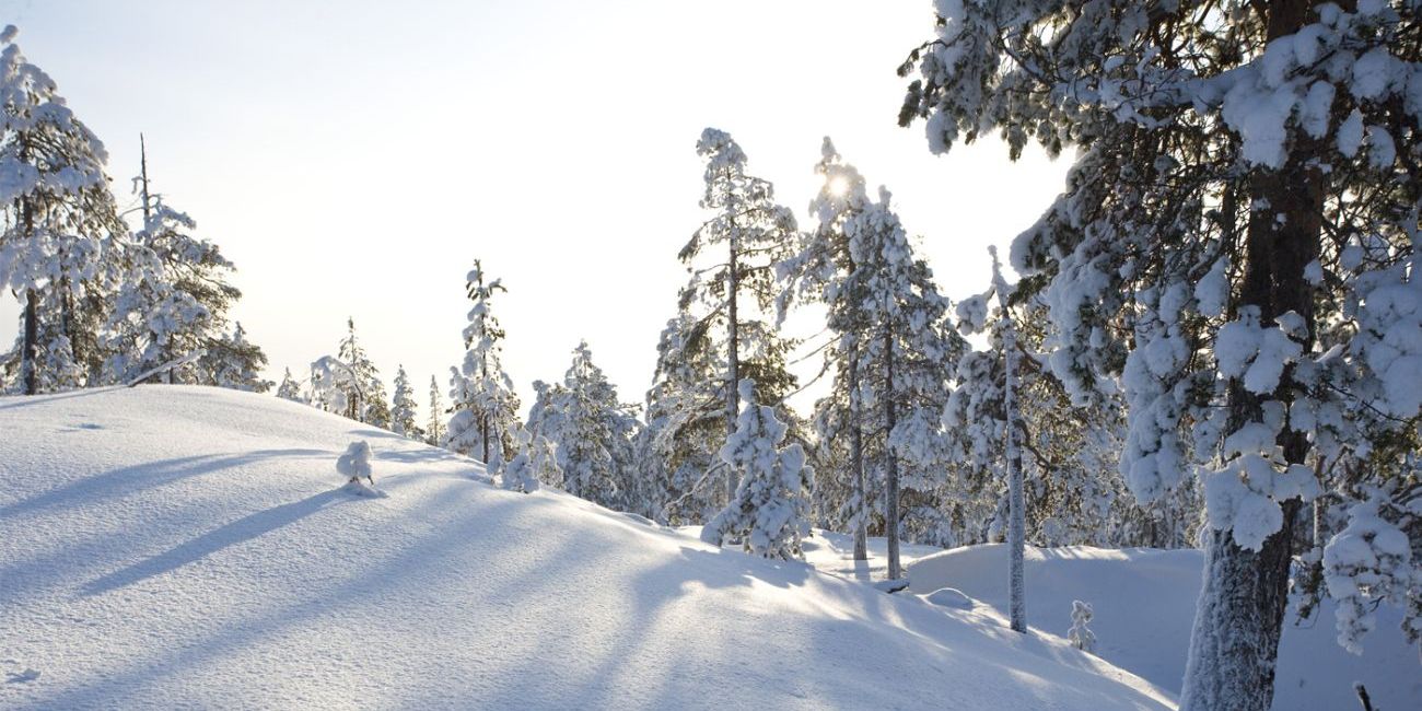 Hotel Arctic Light 4*  Rovaniemi 