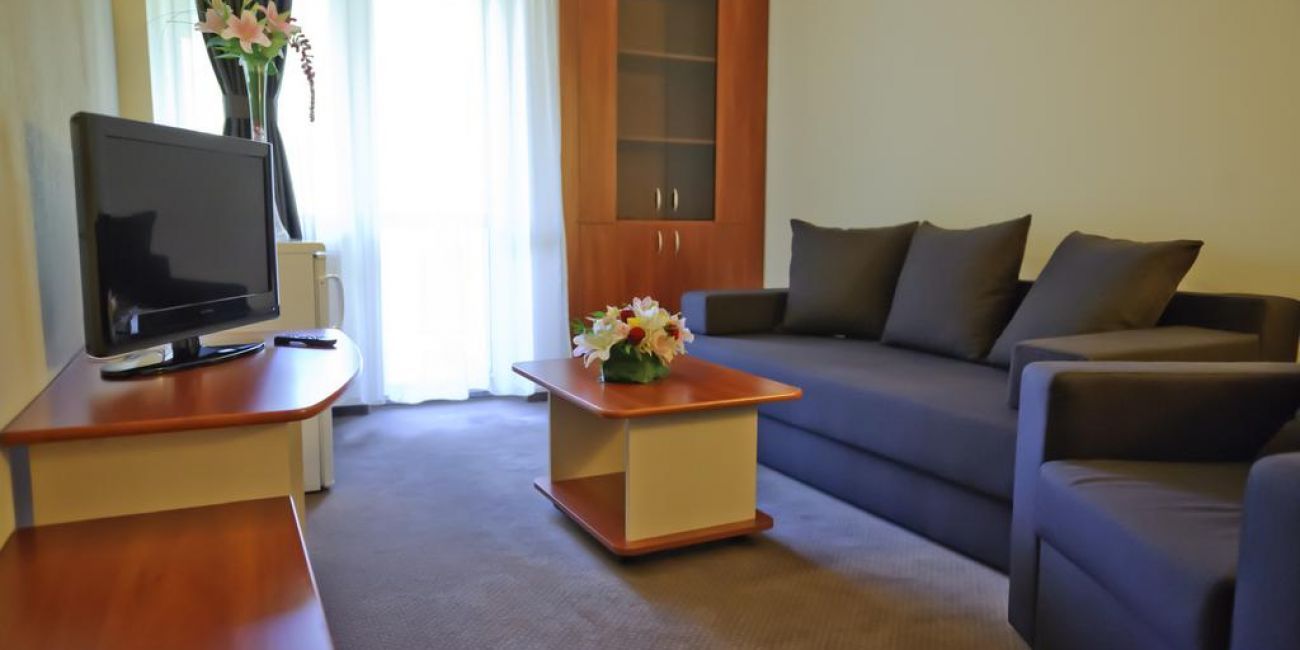 Hotel Bradul 3* Vatra Dornei 