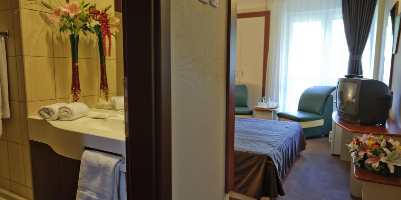 Hotel Bradul 3* Vatra Dornei 