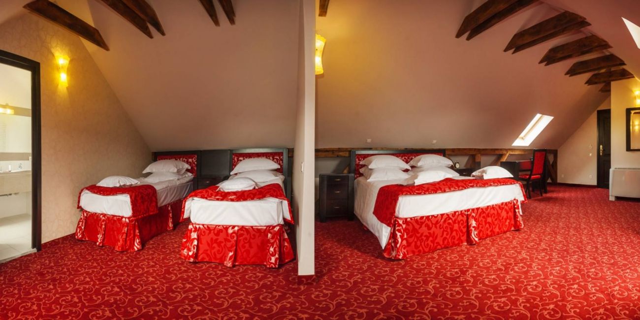 Hotel Central Park 4*  Sighisoara 