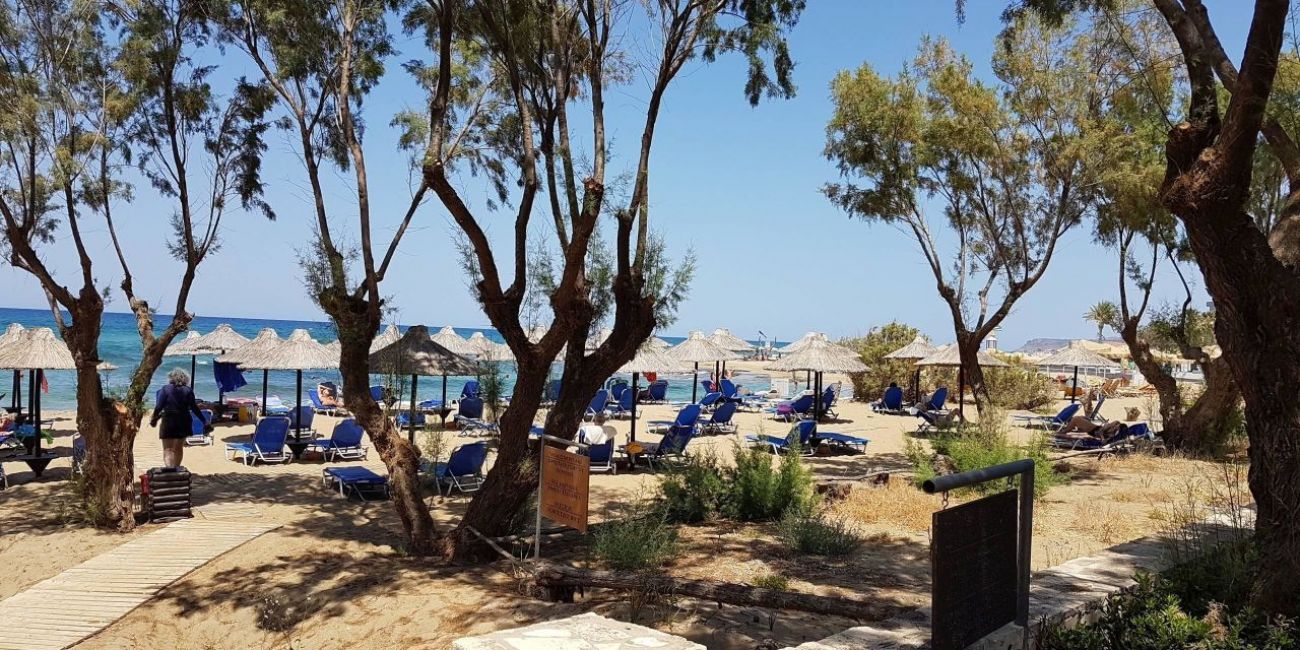 Hotel Cretan Malia Park 4*  Creta 