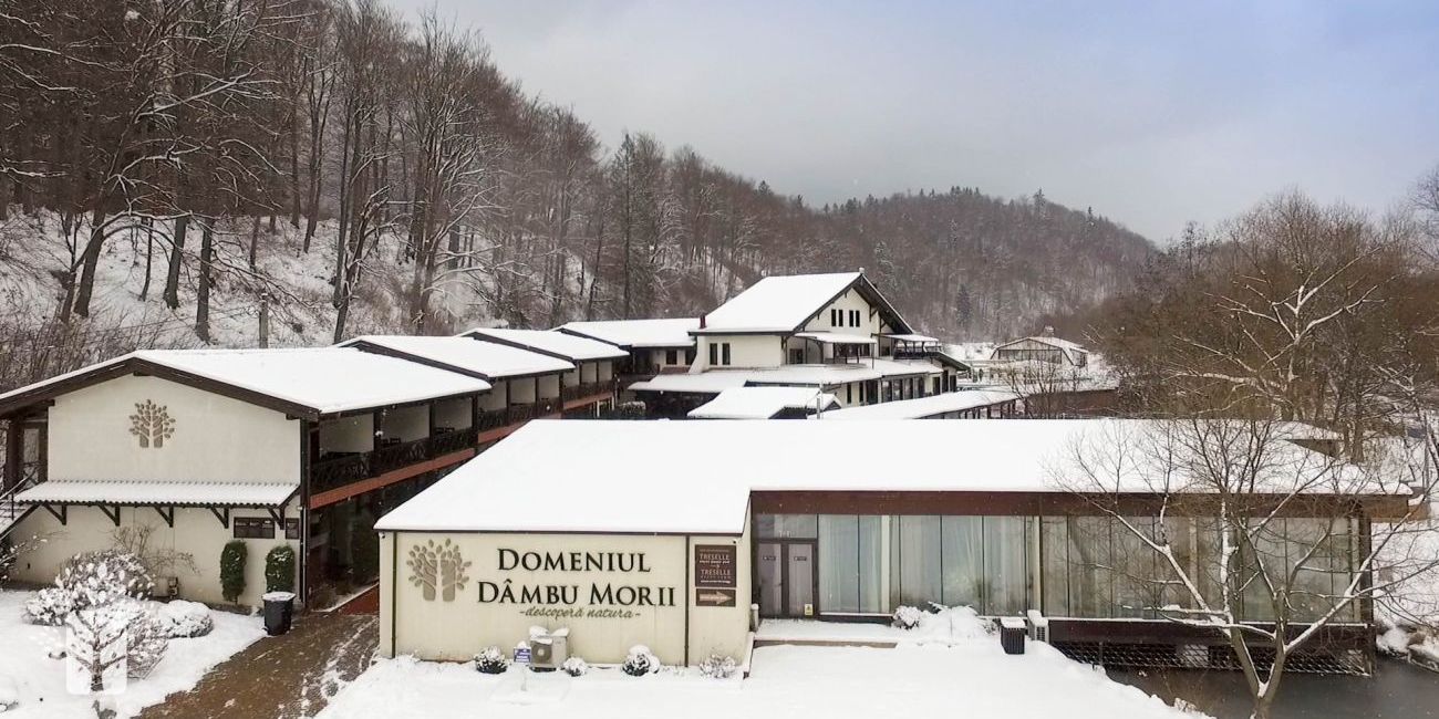 Hotel Domeniul Dambu Morii 3* Brasov 