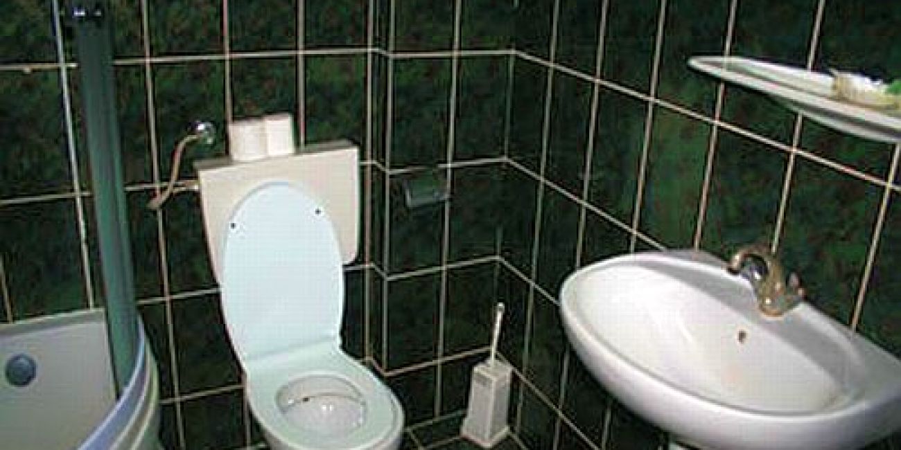 Hotel Dumbrava 3* Rupea 