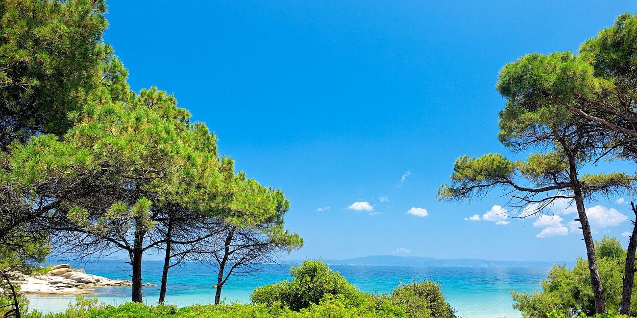Hotel Ekies All Senses Resort 4* Halkidiki - Sithonia 