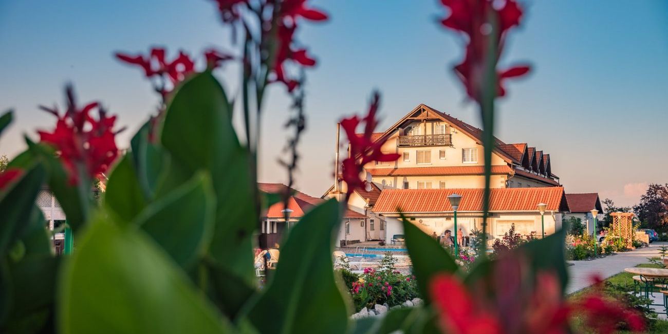 Hotel Europa Kokeltal 3* Sighisoara 