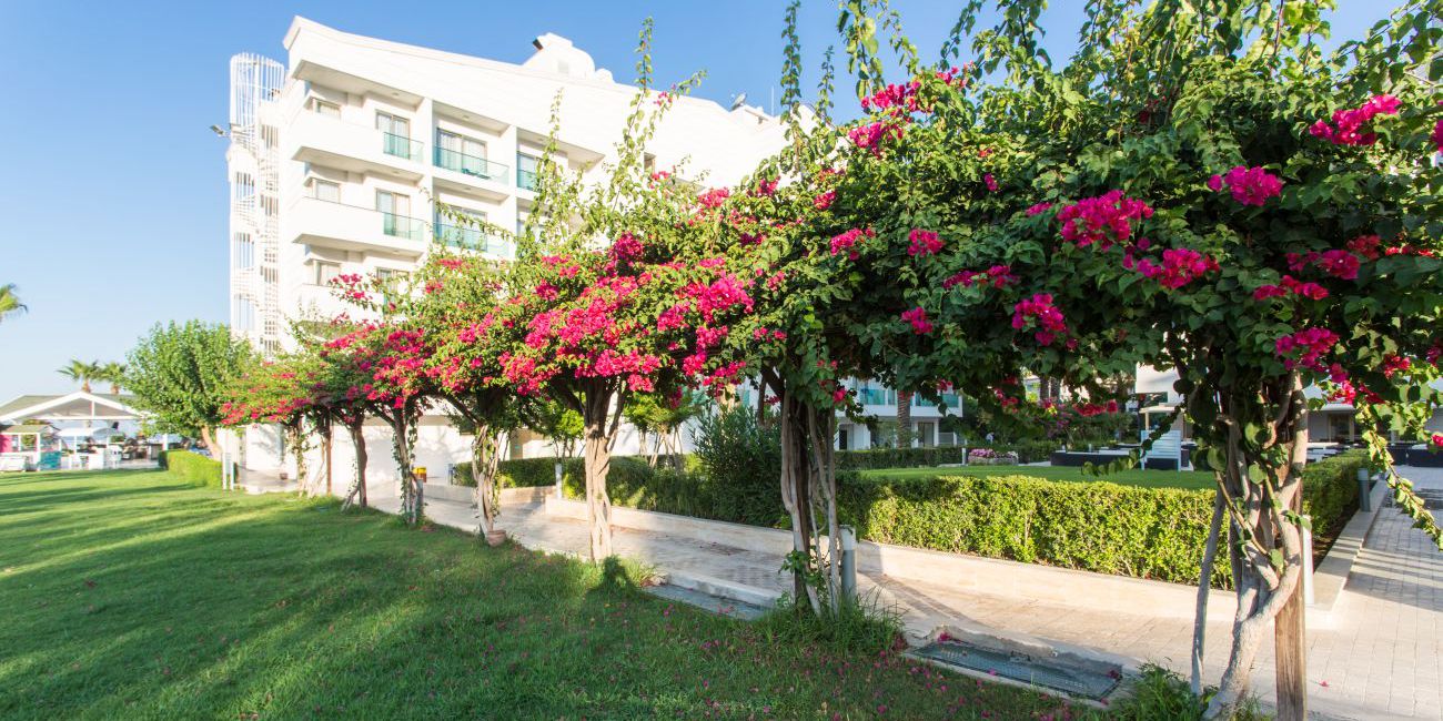Hotel Falcon 4* Antalya 