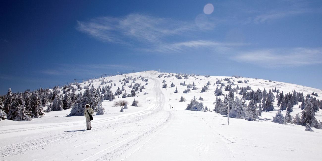 Hotel Family Angella 4* Kopaonik 