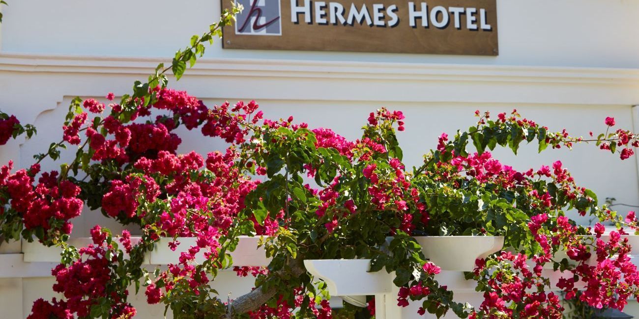 Hotel Hermes 4* Santorini Grecia