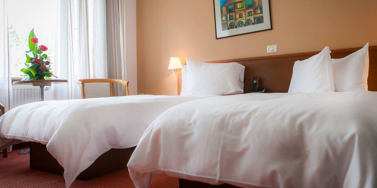 Hotel New Montana 4* Sinaia 