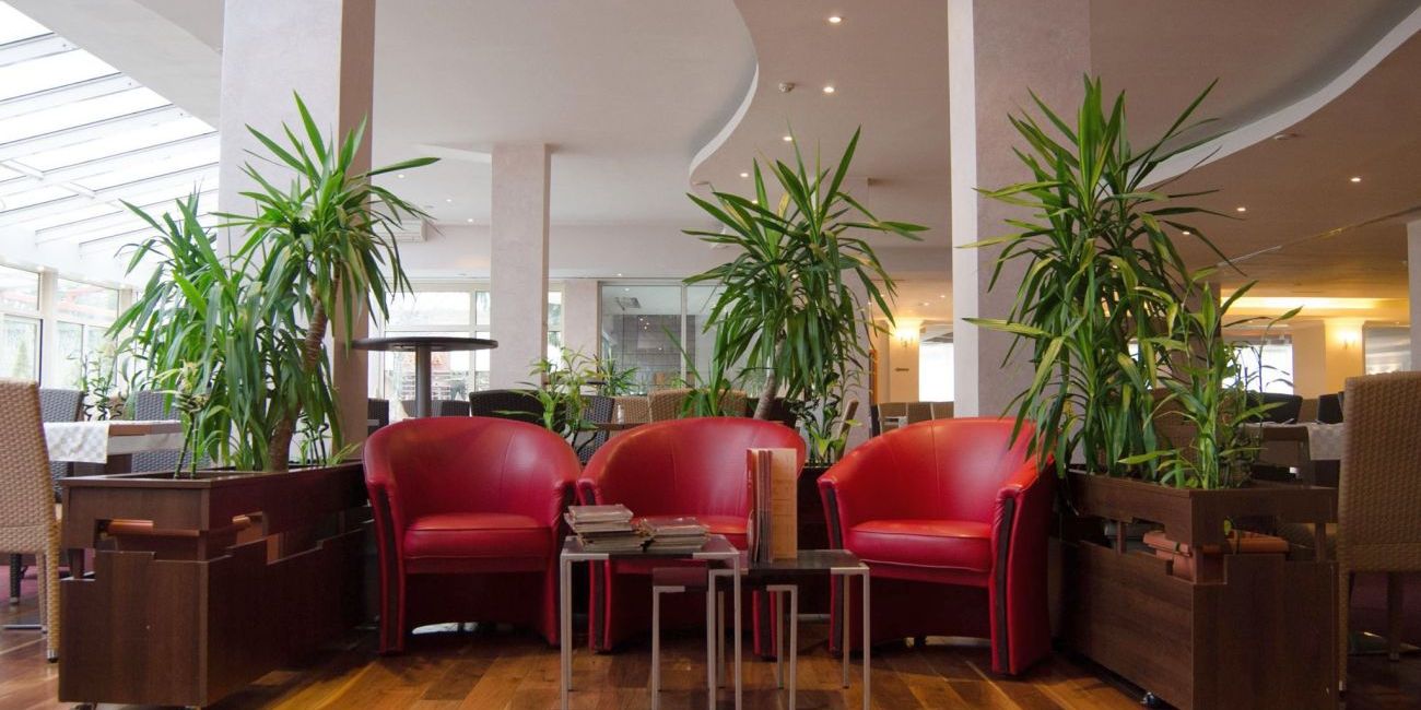 Hotel New Montana 4* Sinaia 