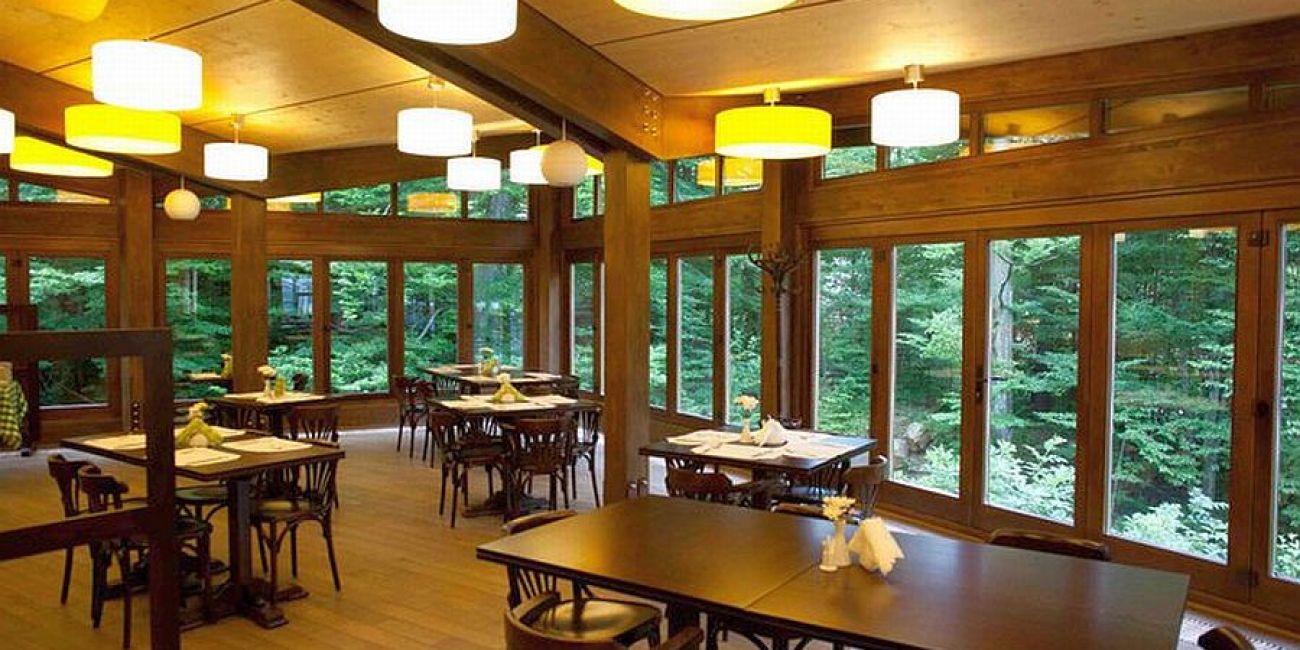Hotel Piatra Soimului 3*  Sinaia 