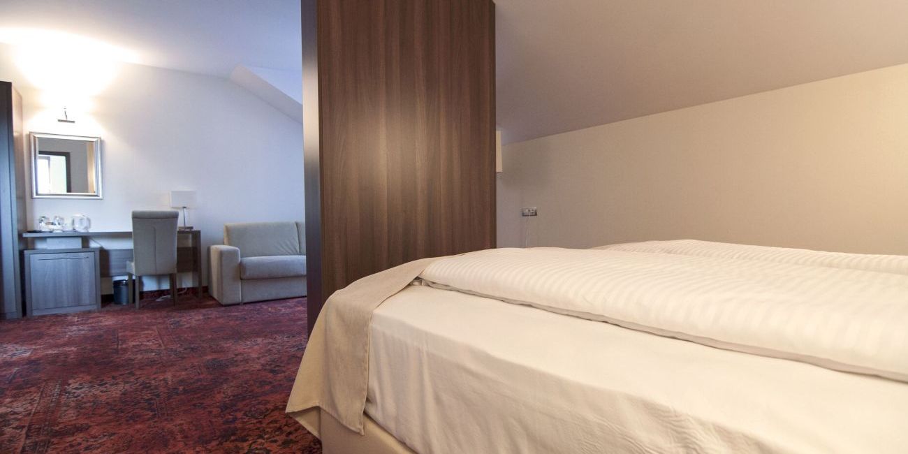 Hotel Radsor 4* Rasnov 