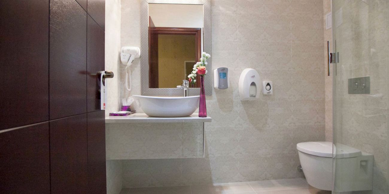 Hotel Romanita 4*  Maramures 