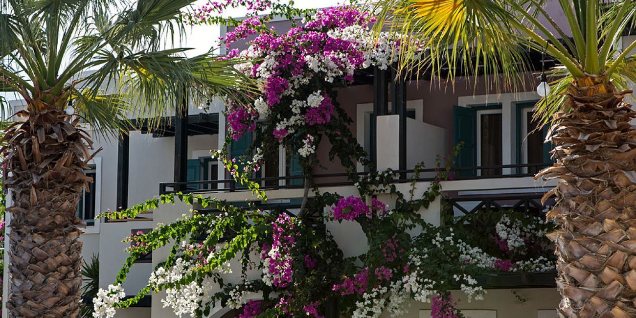 Hotel Rose Bay 4* Santorini 