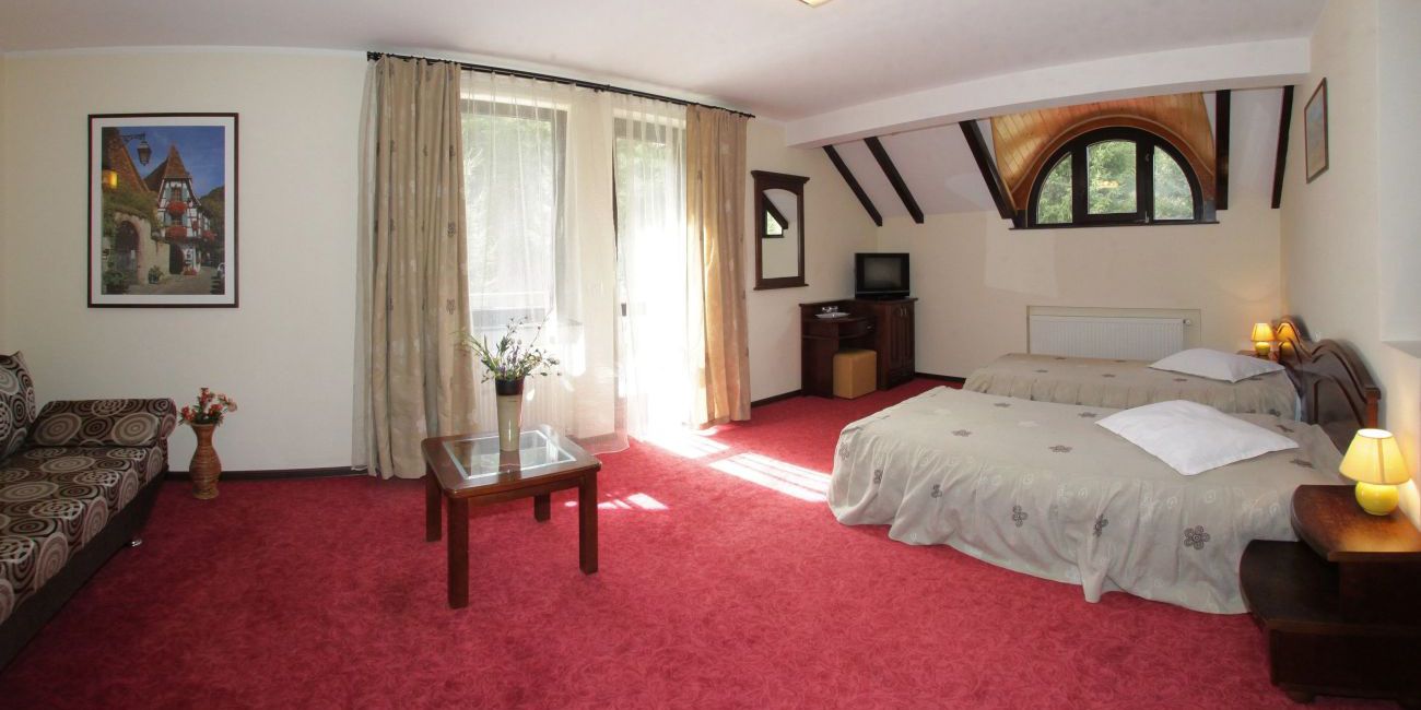 Hotel Victoria 3* Maramures 