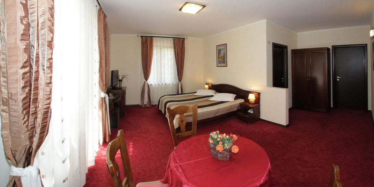 Hotel Victoria 3* Maramures 