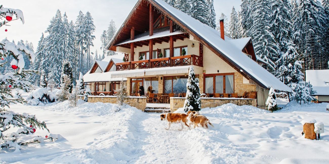 Pensiune Inima Bucovinei 4* Bucovina 