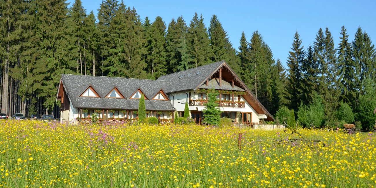 Pensiune Inima Bucovinei 4* Bucovina 