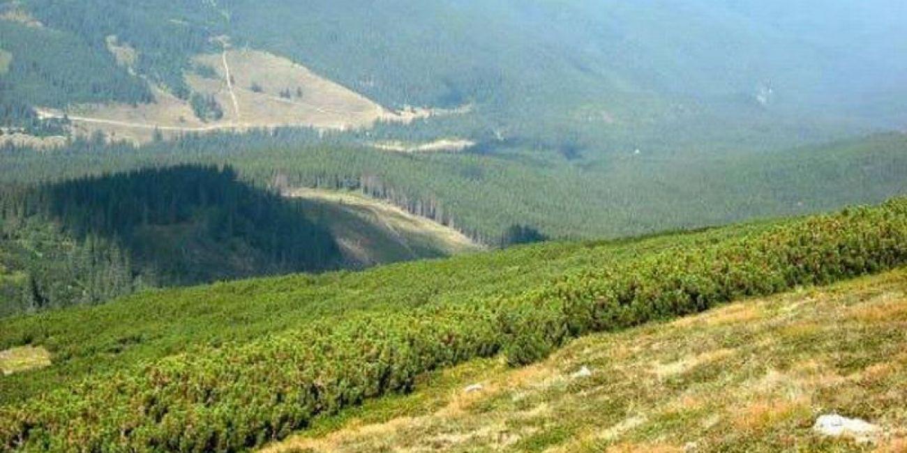 Pensiune Norica 4* - Demipensiune + Masa Festiva Revelion Gura Raiului 