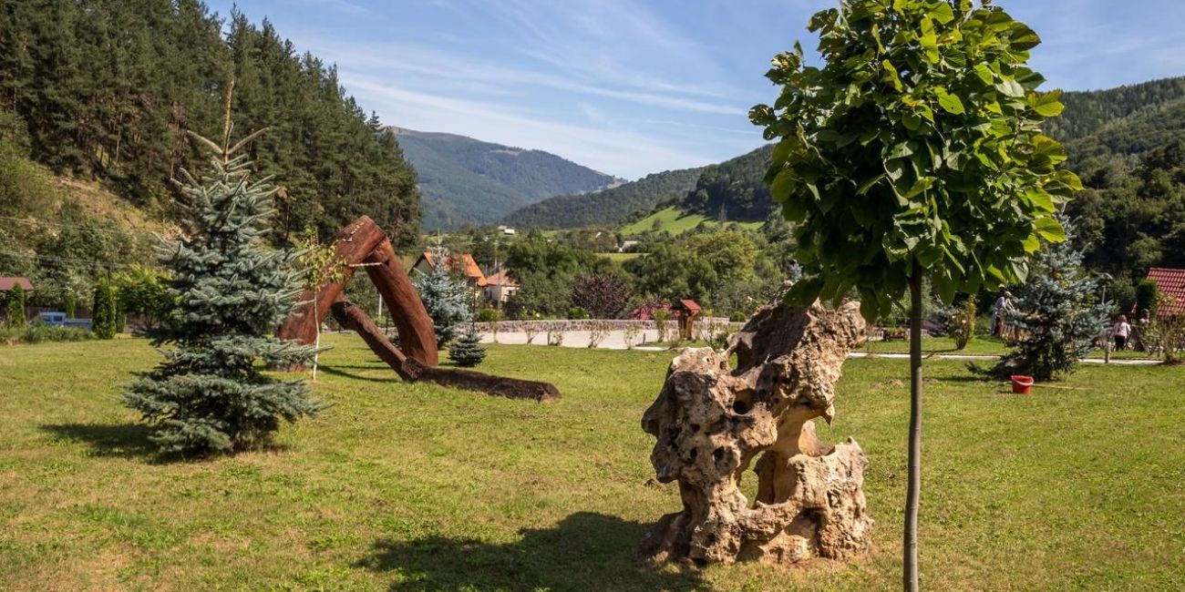 Pensiunea Albota Rau Sadului 3* Albota 