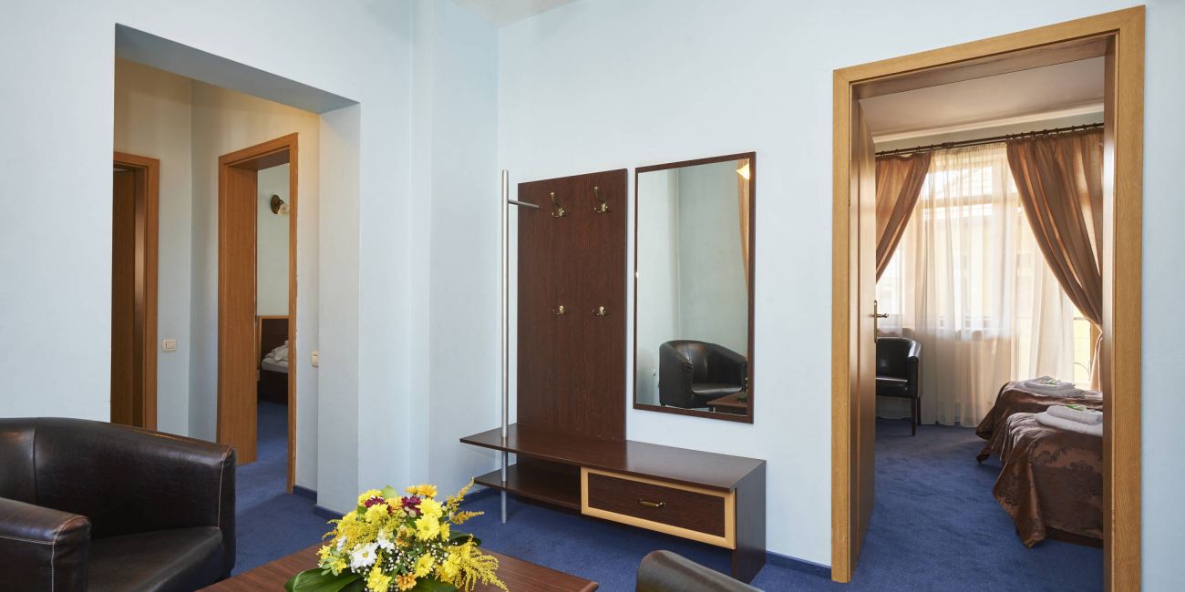 Pensiunea Ambient 3* Brasov 