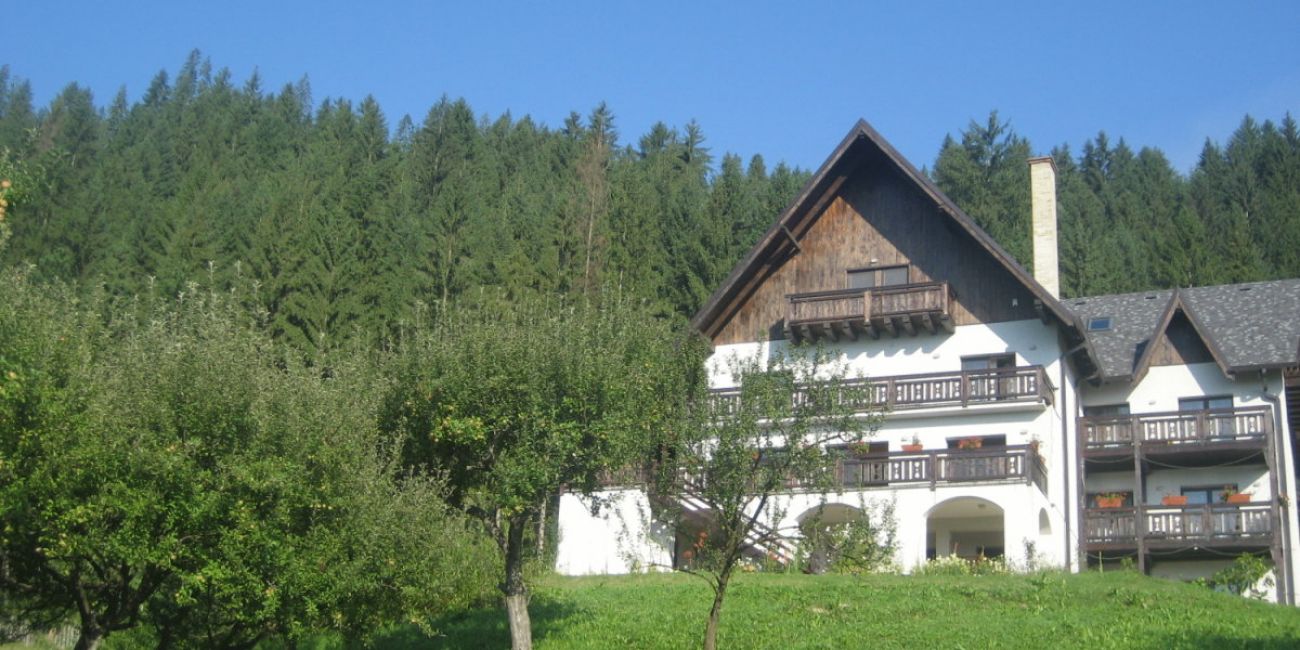 Pensiunea Bucovina Lodge 4* Bucovina 