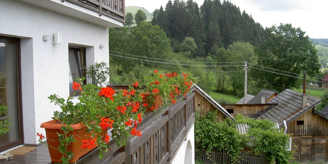 Pensiunea Bucovina Lodge 4* Bucovina 