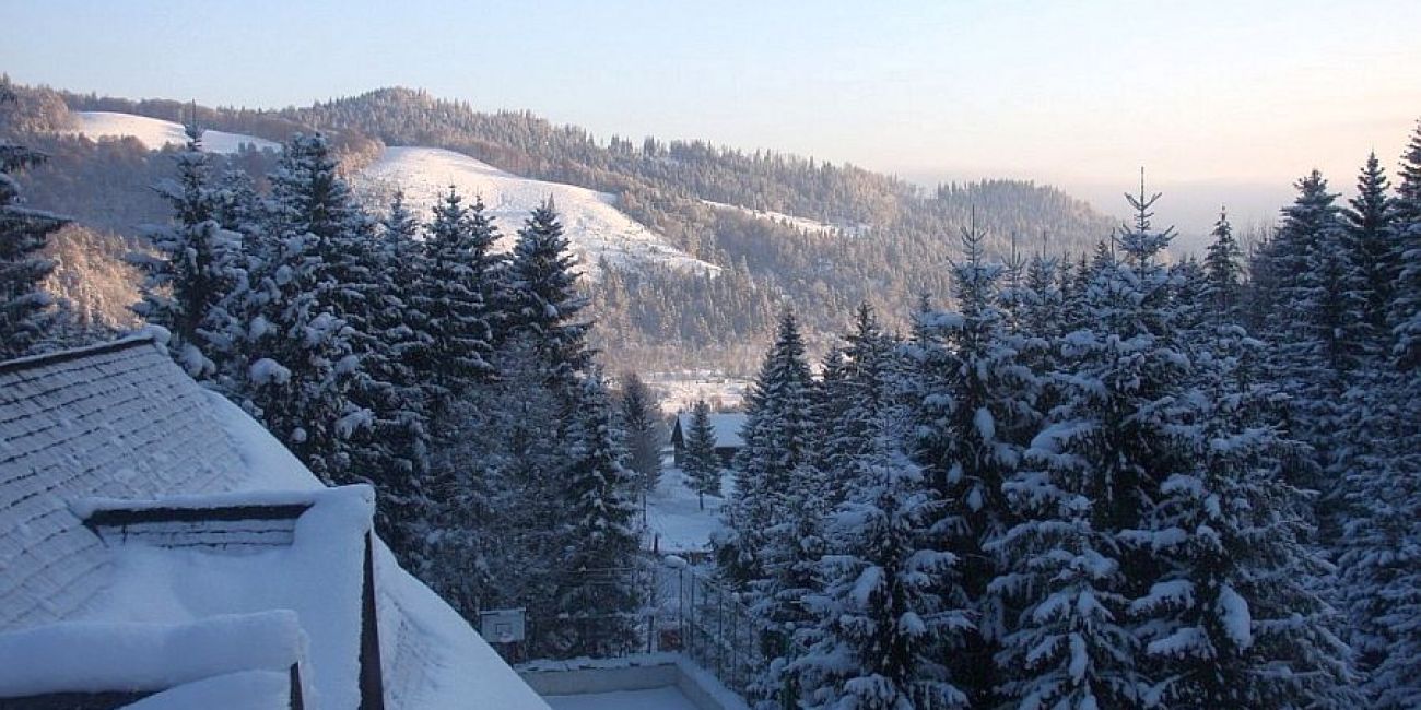 Pensiunea Casa Alba  3* - Fara masa Suceava 