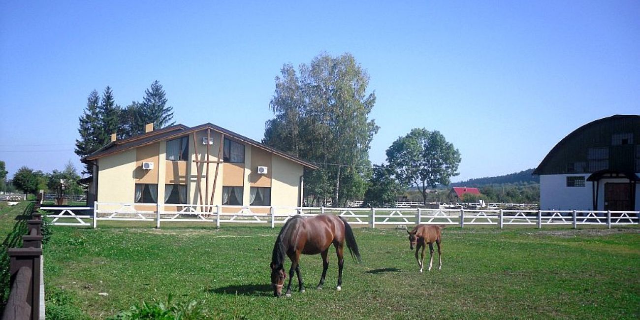 Pensiunea Forest Ecvestru 4* Sucevita 