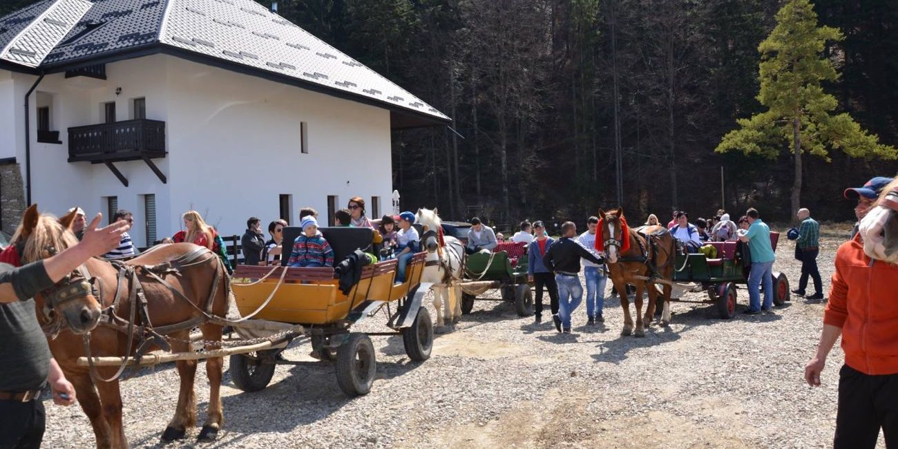 Pensiunea La Conac in Bucovina 4* Bucovina 