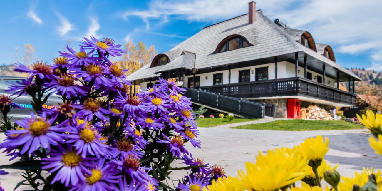 Pensiunea La Moara 4* Bucovina 