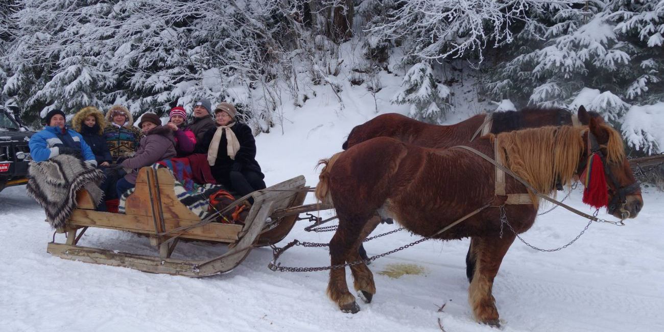 Pensiunea Lacramioara 3* Maramures 