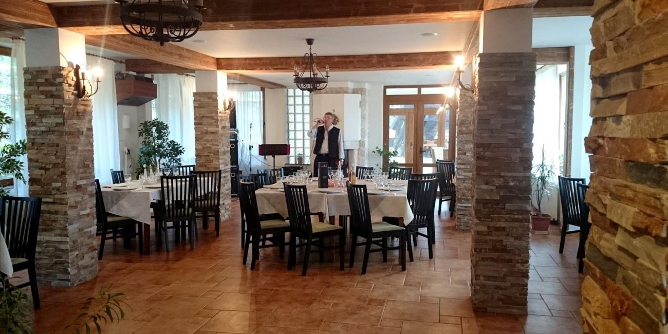 Pensiunea Lidana 4* Bucovina 