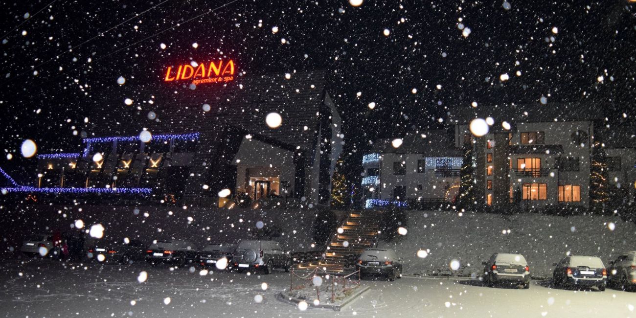 Pensiunea Lidana 4* Bucovina 