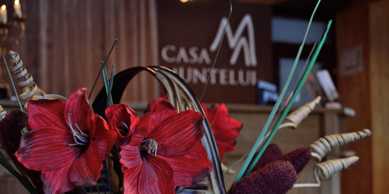 Pensiunea Muntelui 4* Rucar 