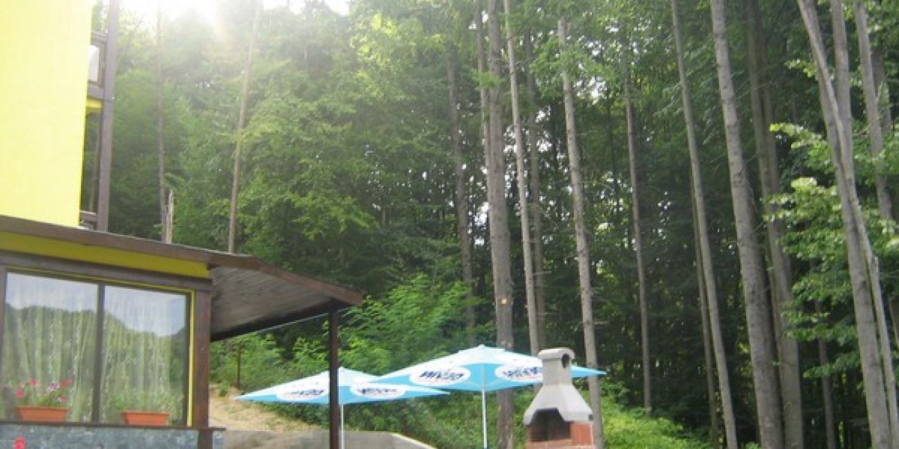 Pensiunea Tisa 3* Baile Olanesti 