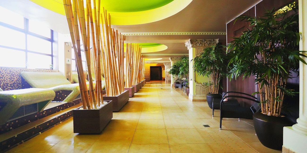 Primera Dru Hotel & Spa 4* Maramures 
