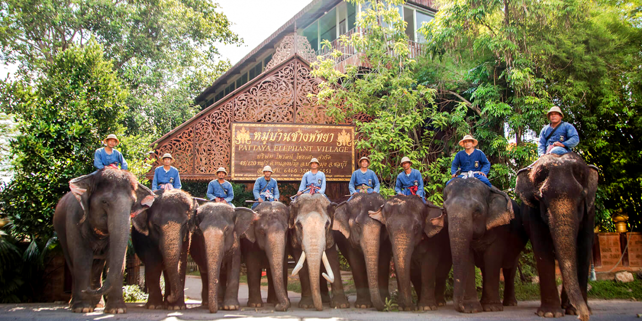 Thailanda: Pattaya si Bangkok - Plaja, Soare si Mare de 5 stele Pattaya 