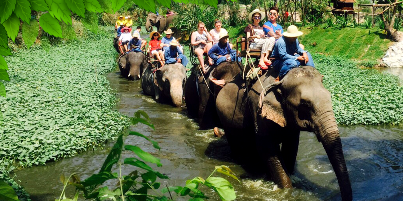 Thailanda: Pattaya si Bangkok - Plaja, Soare si Mare de 5 stele Pattaya 