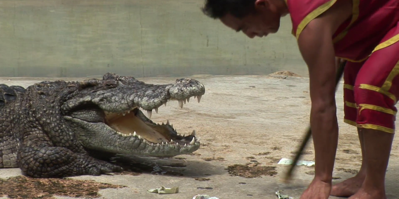 Thailanda: Pattaya si Bangkok - Plaja, Soare si Mare de 5 stele Pattaya 