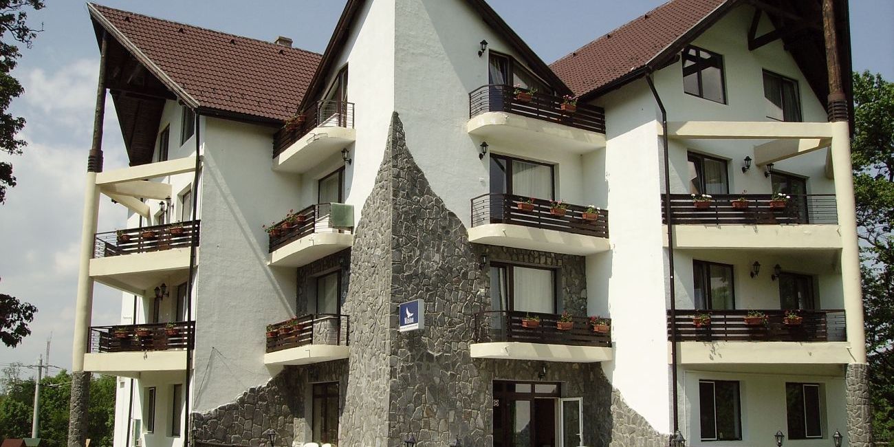 Vila Alisa 3*  Bran 